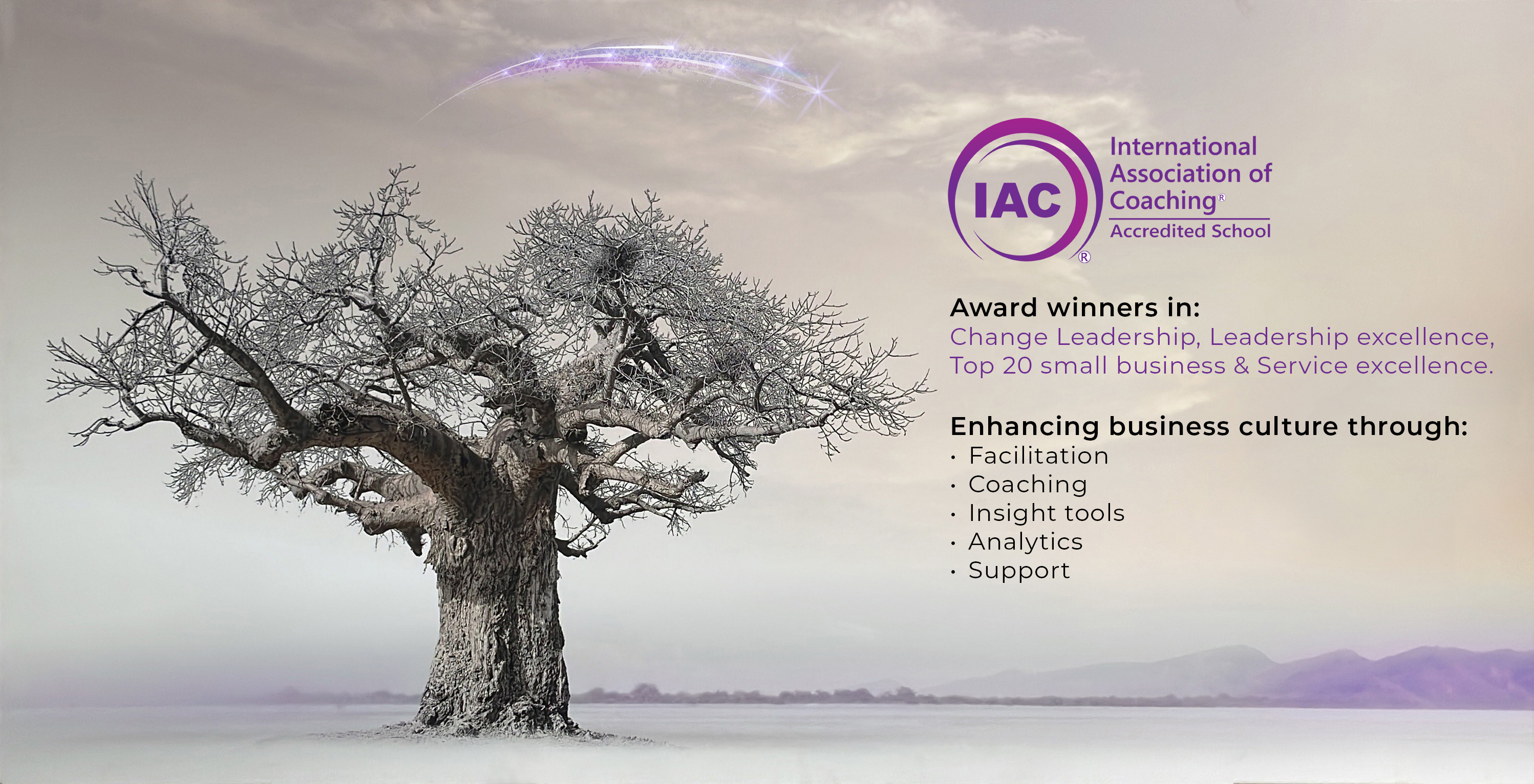 Baobab-shooting-star+tree-Dialogue+IAC-v2