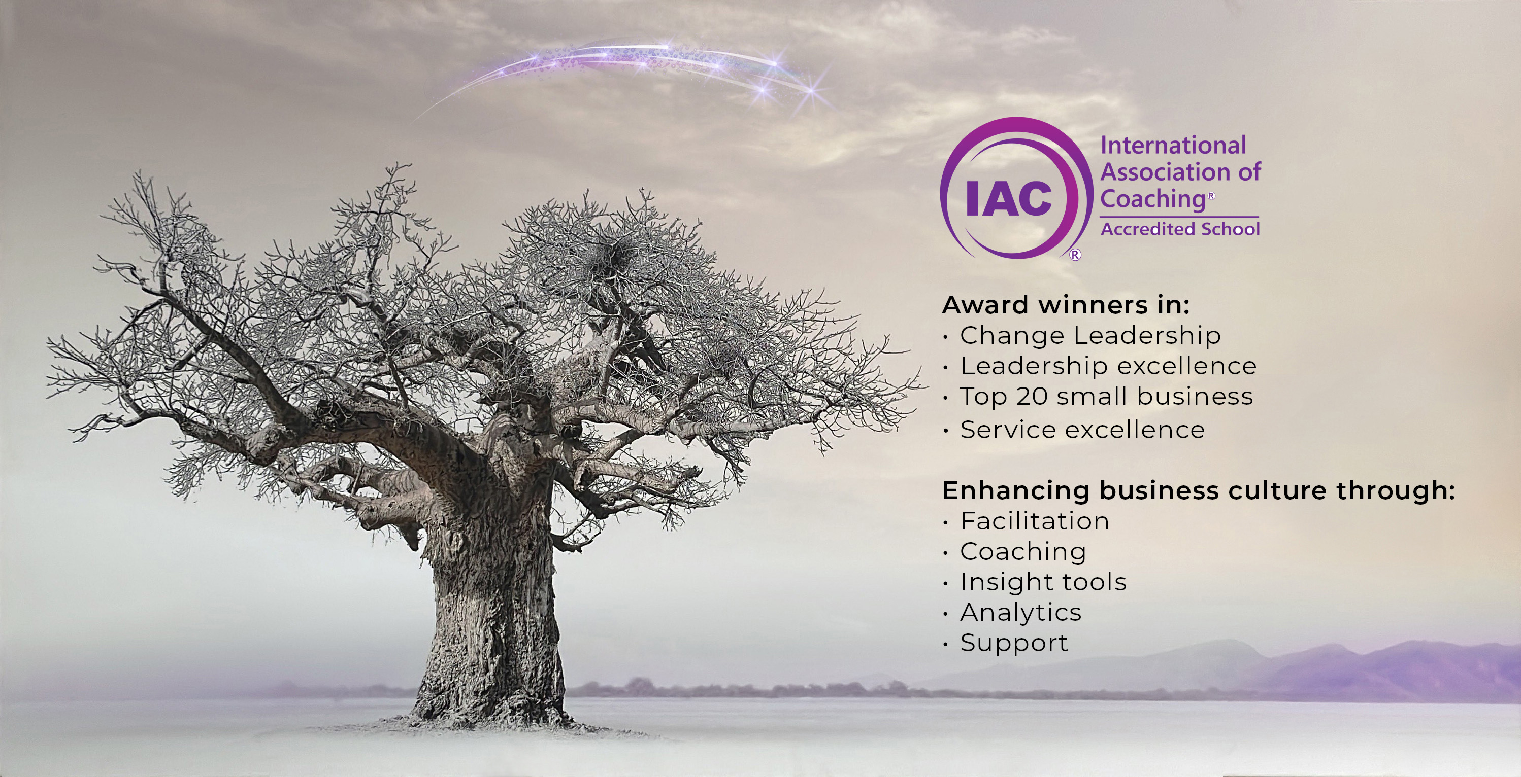 Baobab-shooting-star+tree-Dialogue+purple IAC